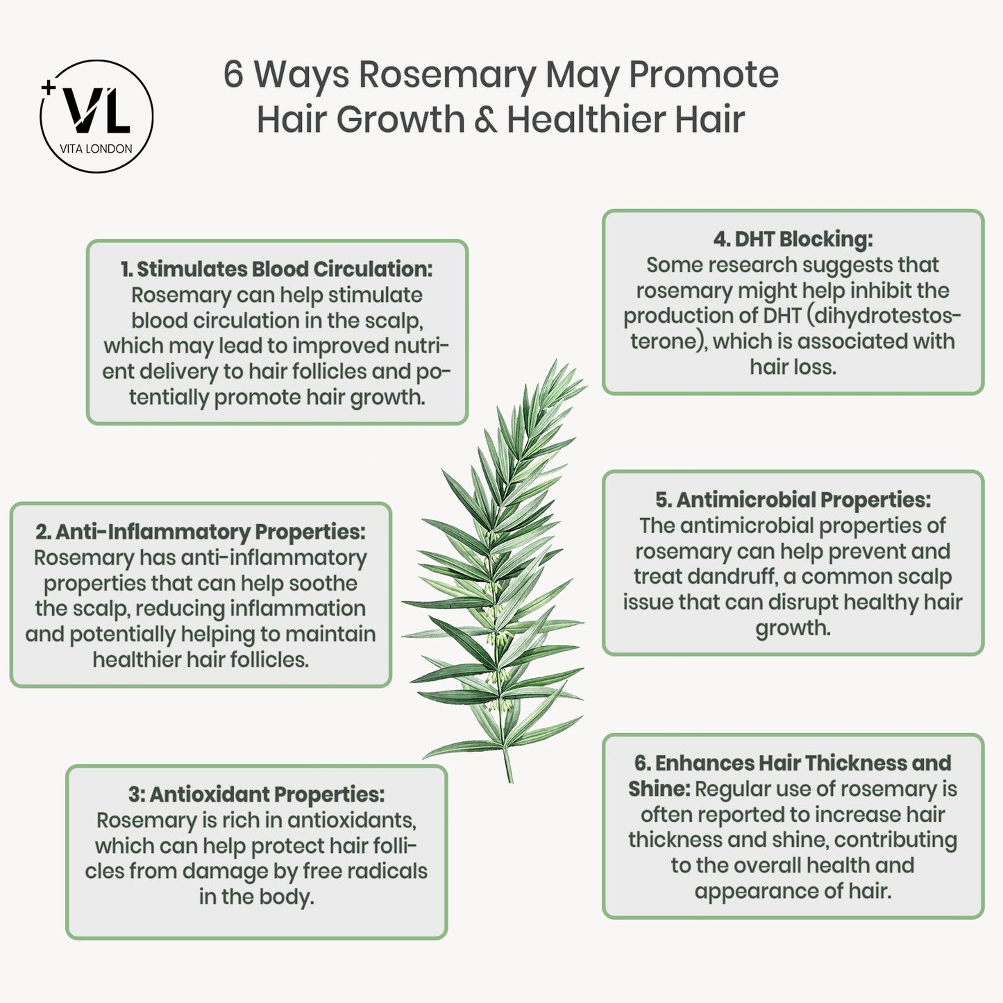 Biotin 10,000Mcg Skin Nails Hair Growth Tablets Zinc Selenium Rosemary Capsules