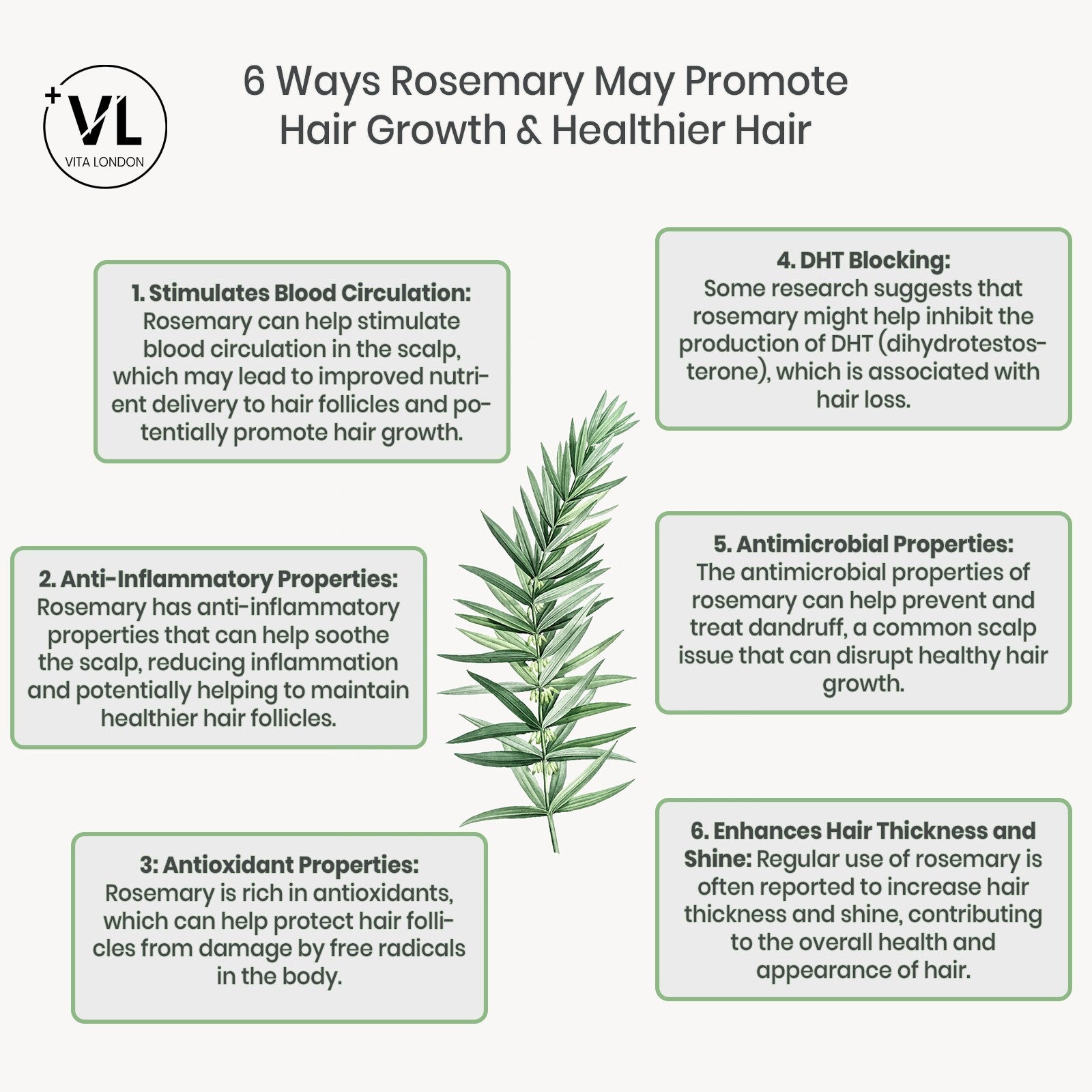 Biotin 10,000Mcg Skin Nails Hair Growth Tablets Zinc Selenium Rosemary Capsules