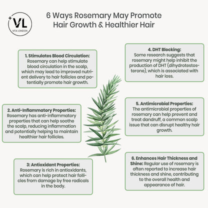 Biotin 10,000Mcg Skin Nails Hair Growth Tablets Zinc Selenium Rosemary Capsules